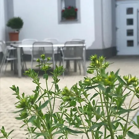 Vogelhubergut - Familie Scherleithner Agroturismo *