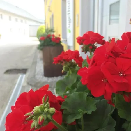 Vogelhubergut - Familie Scherleithner Farm stay *