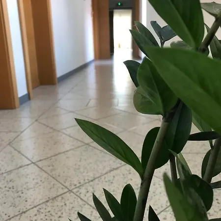 Agroturismo Vogelhubergut - Familie Scherleithner Vorchdorf