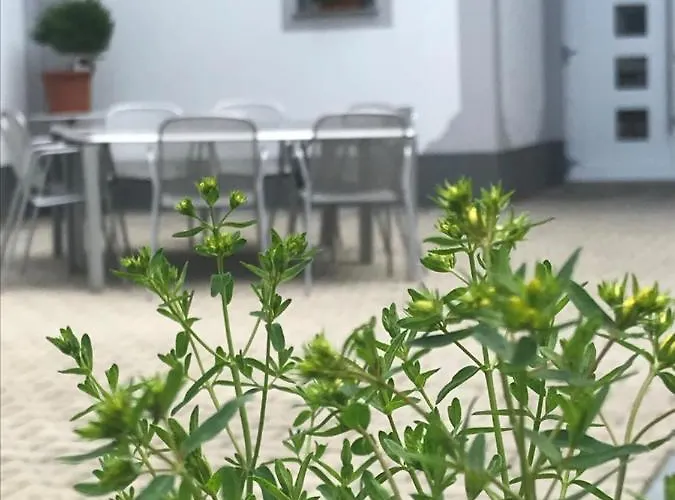 沃格芙博古夏莱纳农家乐 农家乐 *