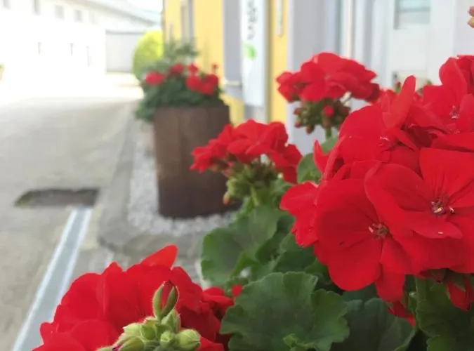 Vogelhubergut - Familie Scherleithner Farm stay *