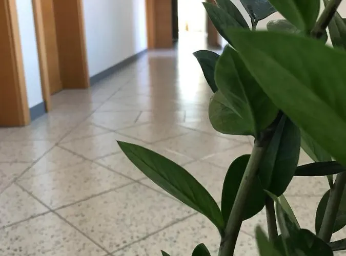 农家乐 沃格芙博古夏莱纳农家乐 福尔希多夫