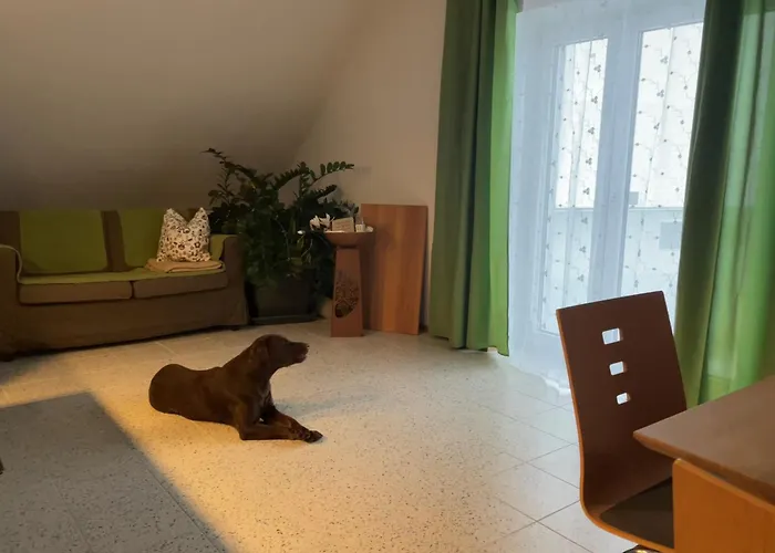 沃格芙博古夏莱纳农家乐 *