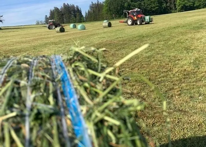 Vogelhubergut - Familie Scherleithner *