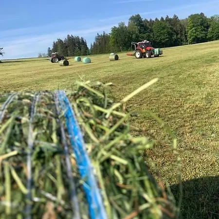 Vogelhubergut - Familie Scherleithner *